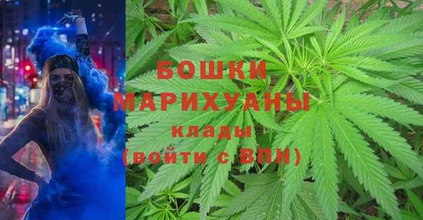 МДПВ Алзамай