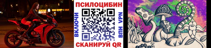 shop телеграм Менделеевск Псилоцибиновые грибы Psilocybine cubensis